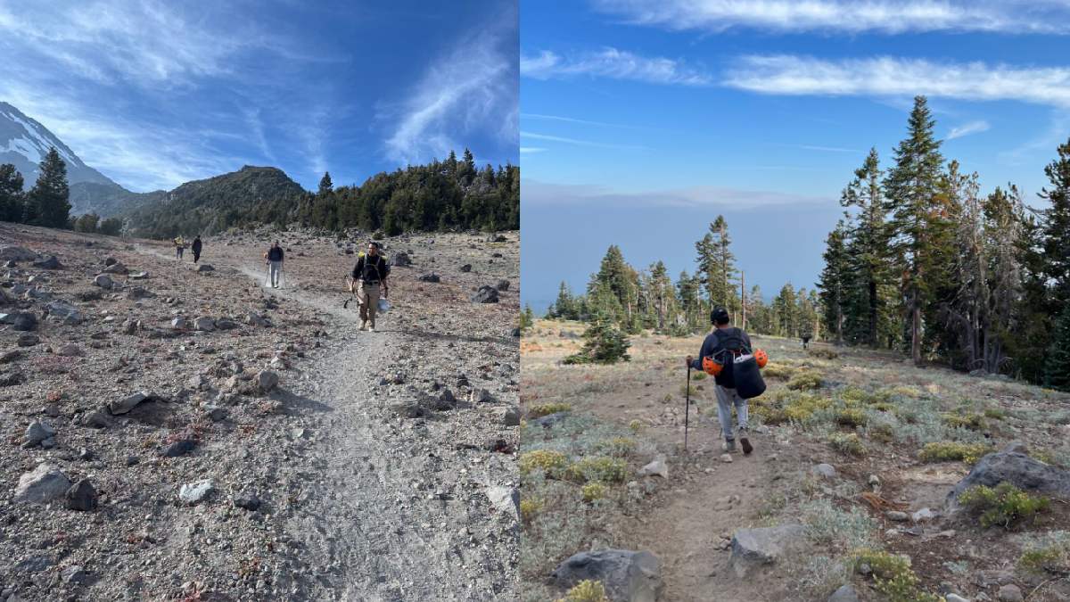 AI-Generated Travel Plan Goes Wrong, Leaves Three Men Stranded on US Mountain
