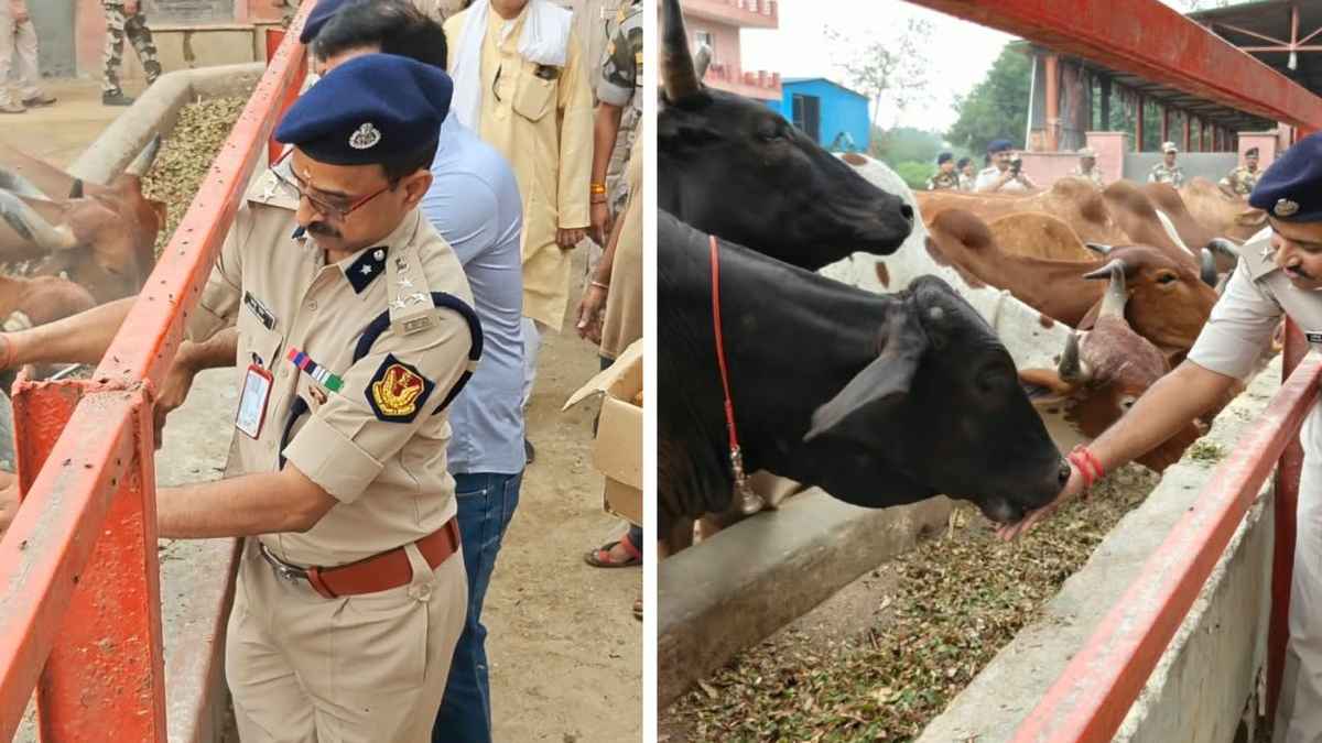 CISF Plants 150 Trees, 500 Vetiver Slips In Gurugram’s Aravali Hills