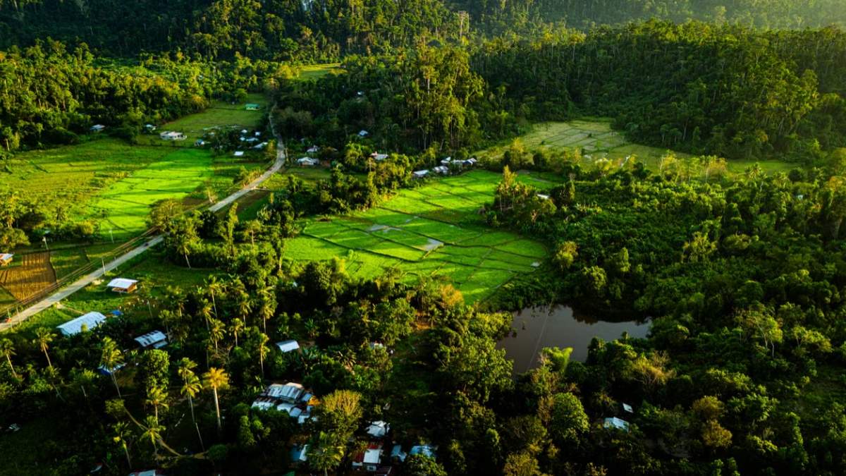 Arunachal Subansiri Project: 2,733 Hectares Of Forest Land To Be Divert