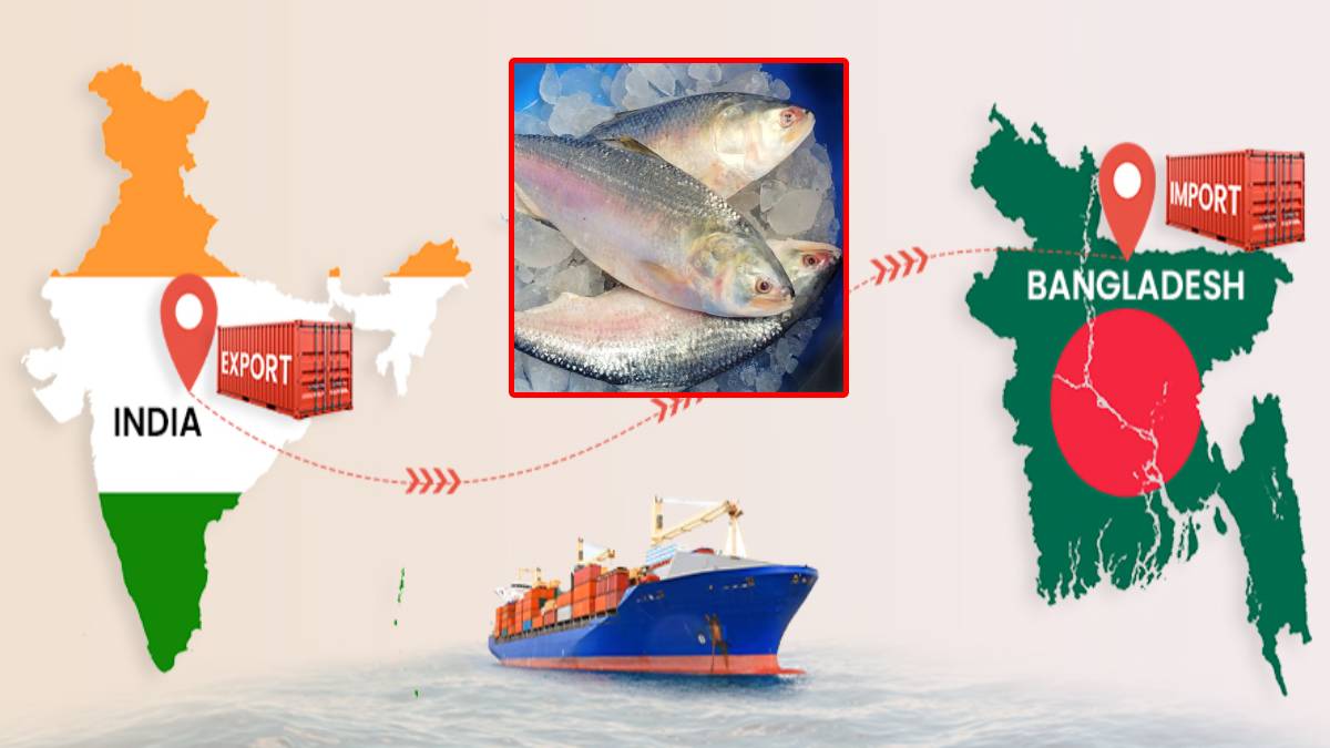 Bangladesh Halts Indian Hilsa Imports, Uncertainty Grows Over Durga Puja Fish Exports to India