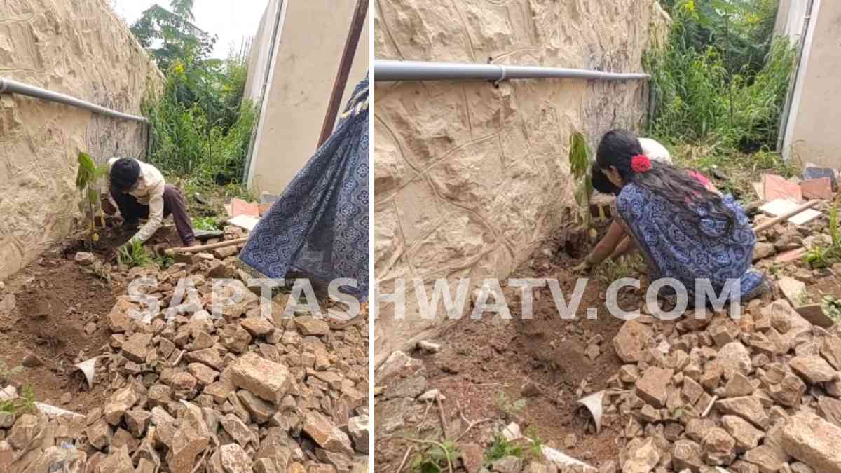 Chikkodi Court Gives Unique Punishment: Drunk Brawl Accused Ordered to Plant 50 Saplings