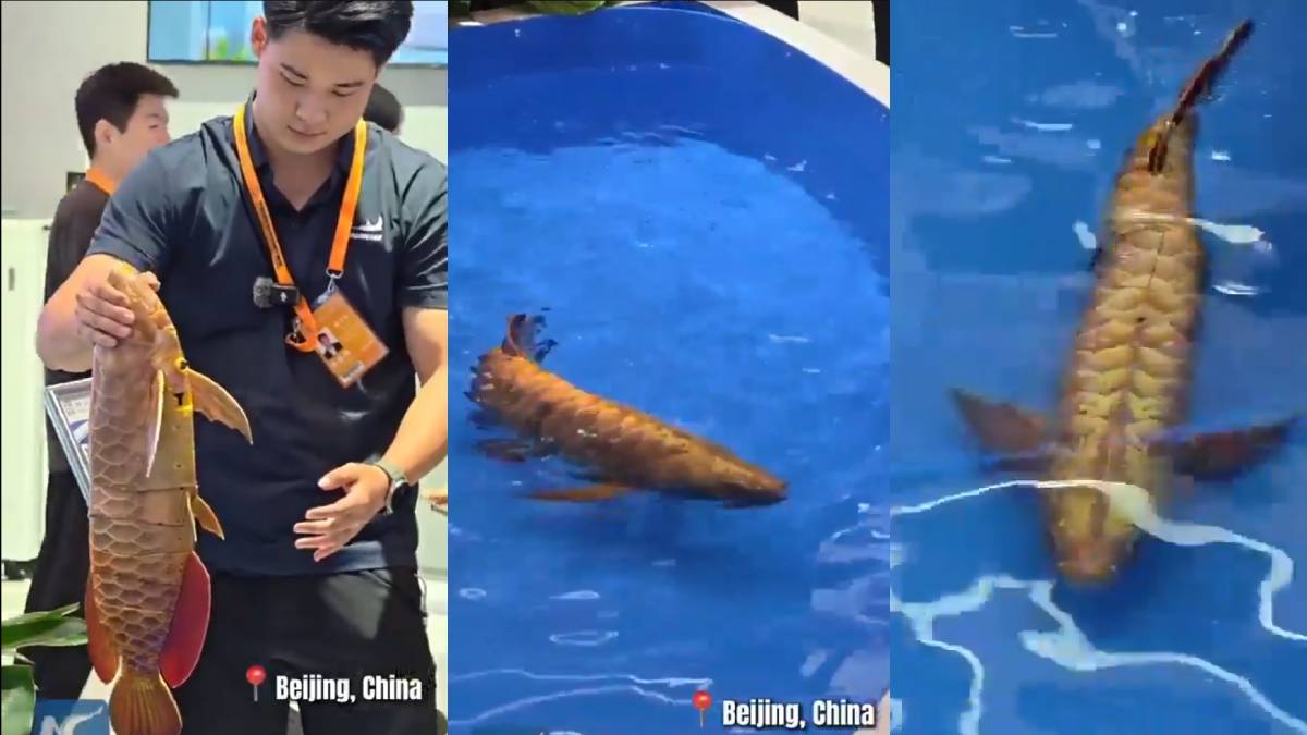 China Unveils BG-5 Golden Dragon Fish: Lifelike Robot Fish Raises Surveillance Questions