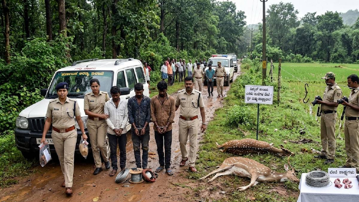 ವಿದ್ಯುತ್‌ ಶಾಕ್‌ ನೀಡಿ ಎರಡು ಜಿಂಕೆಗಳ ಬೇಟೆ-ಅರಣ್ಯ ಇಲಾಖೆ ಕಾರ್ಯಾಚರಣೆ!!