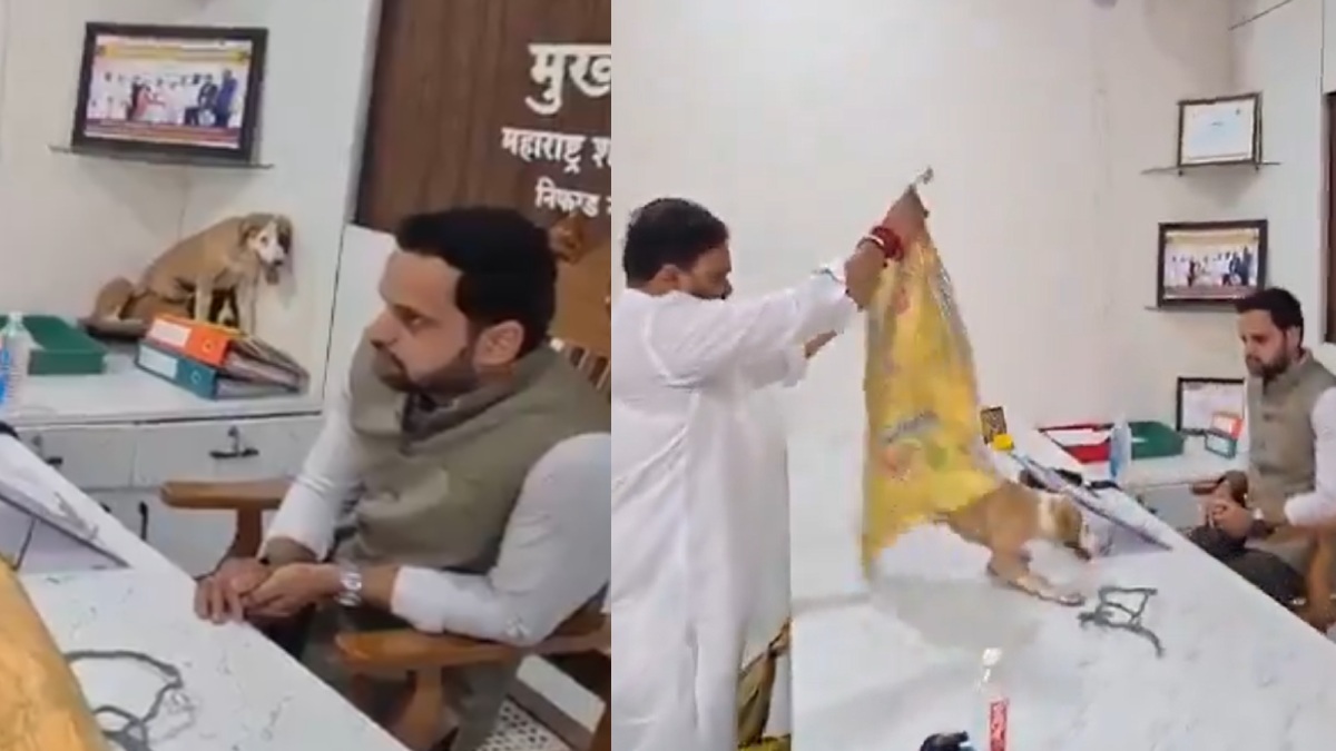 Nashik Protest Turns Unusual as Activists Bring Stray Puppies Into Office