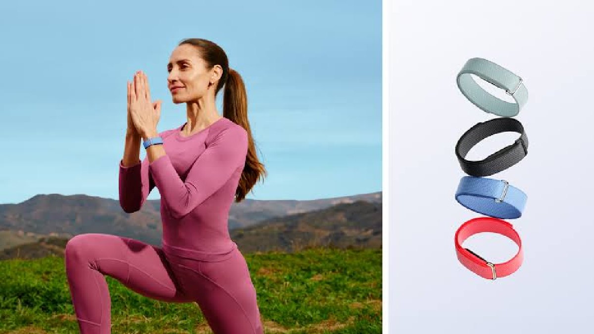 Google Fitbit Air | Photo Credit: https://blog.google/