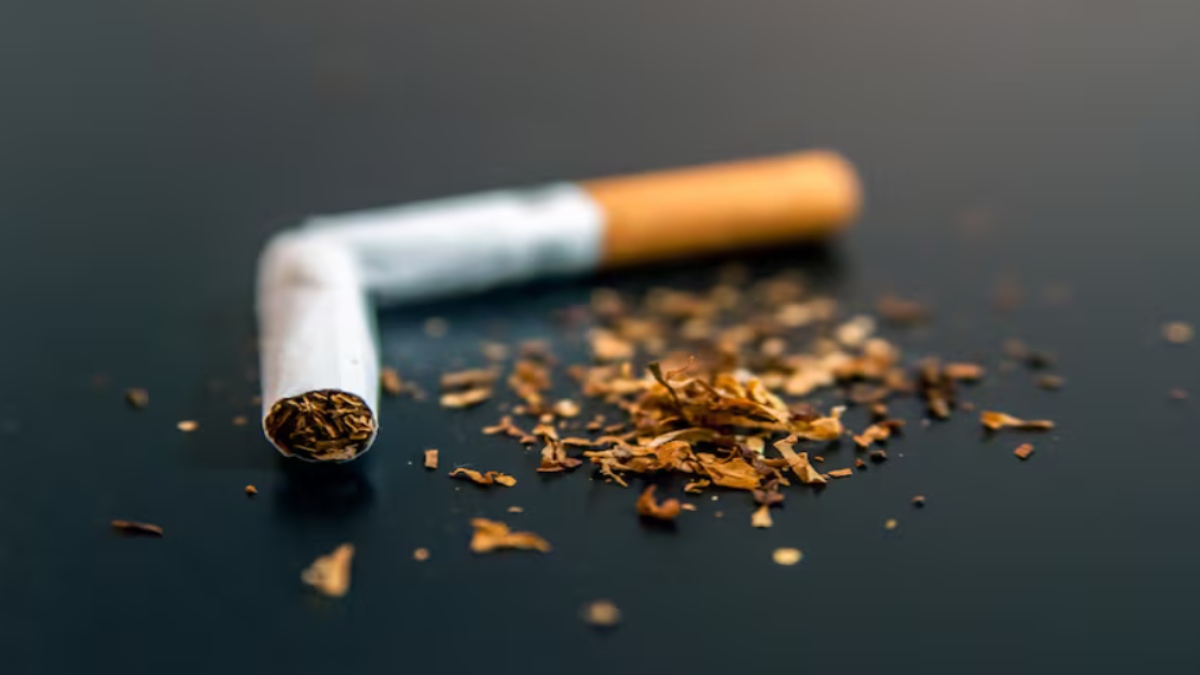 Gujarat Extends Gutka and Tobacco Pan Masala Ban for Another Year