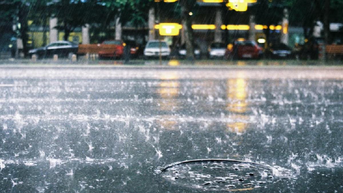 Karnataka Rain Alert: Heavy Rain and Thunderstorms Forecast From September 29, Check District-Wise Weather Update