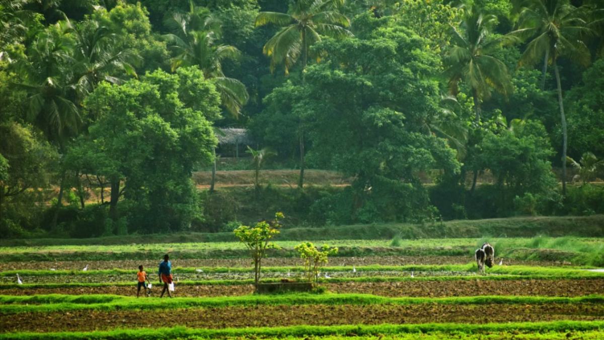 Catholic Congress Seeks Documentary Evidence From Kerala Government On ESA