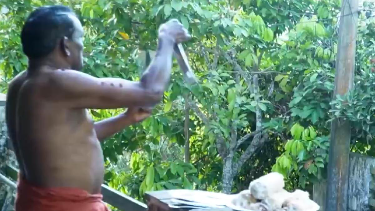 Kerala Man Cooks Breakfast for Hundreds of Crows Every Morning, A Decade-Long Act of Kindness