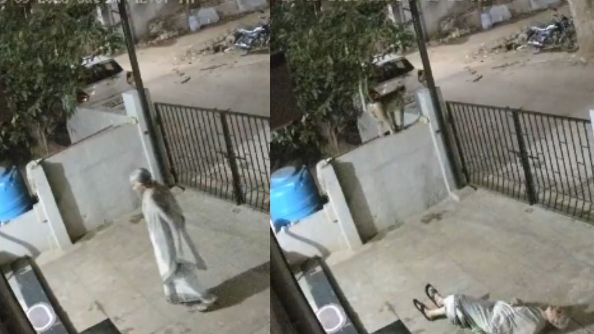 Koppal Monkey Attack: 91-Year-Old Woman Dies a Day After Being Attacked at Home