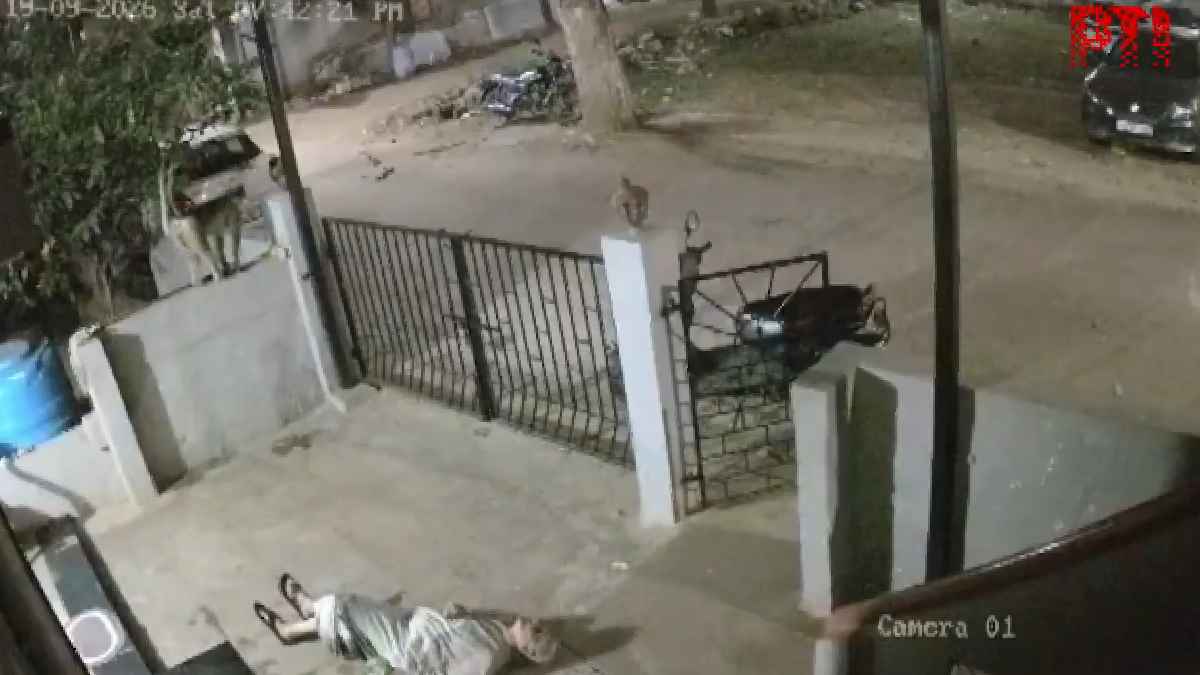 Koppal Monkey Attack: 91-Year-Old Woman Dies After Being Pushed Outside Home