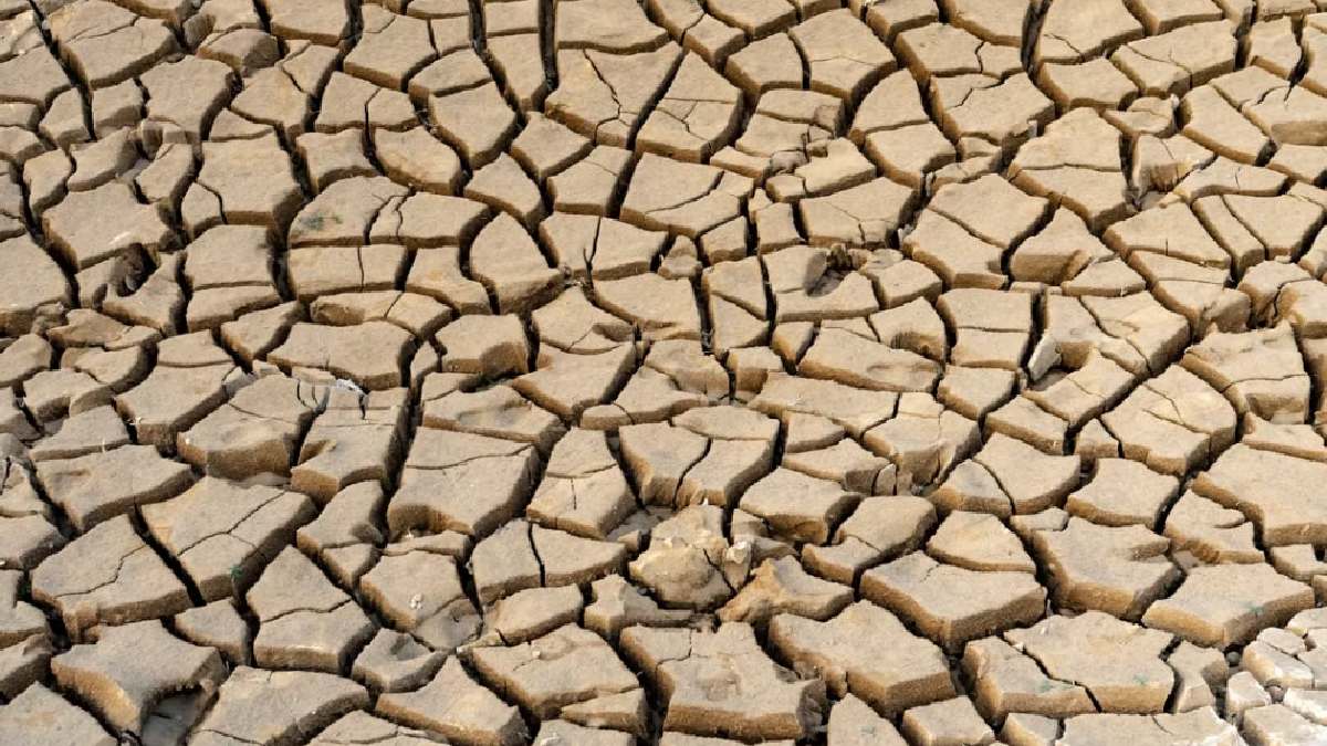 Maharashtra Drought: 265 Of 358 Tehsils Declared Drought-Hit, Nearly 75% Of State Affected