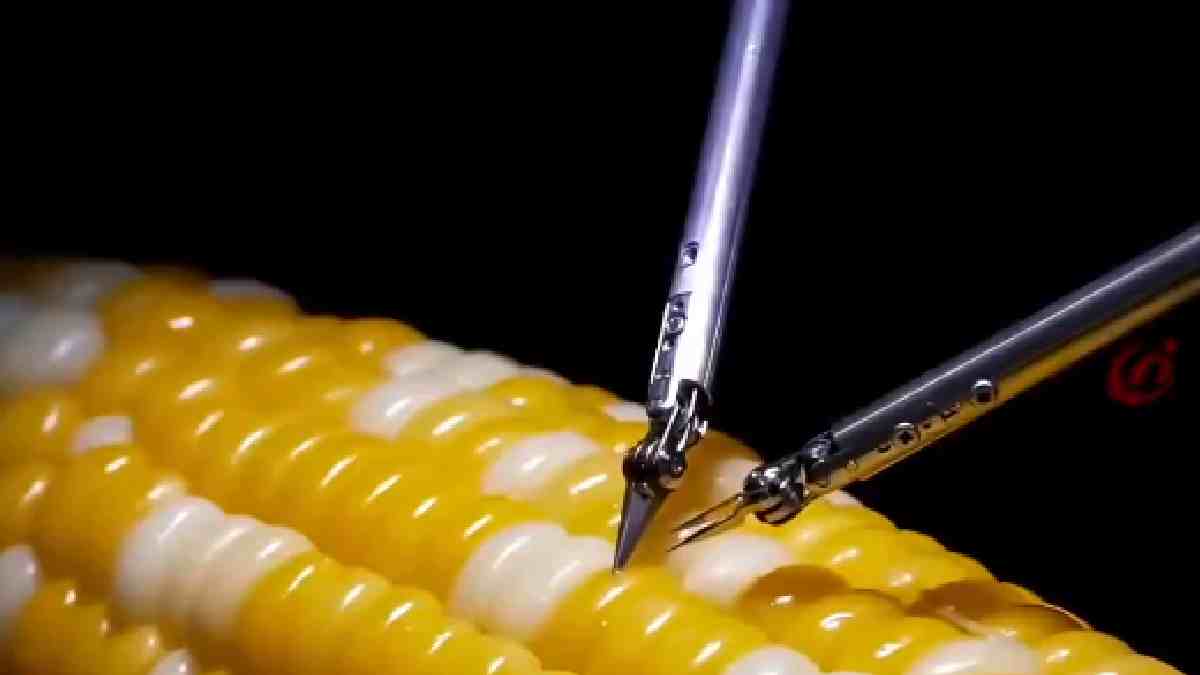 Microsurgery robot stitching a corn kernel | Photo Credit: https://x.com/Rainmaker1973