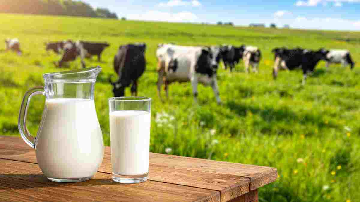 Milk Rates To Rise ₹4-5 Per Litre | Photo Credit: magnific
