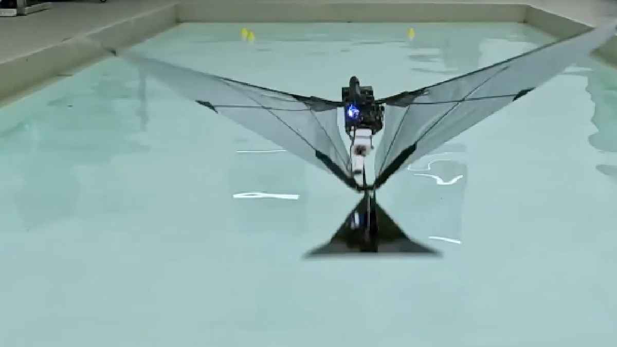 MIT, EPFL Engineers Build Puffin-Inspired Robot That Flies and Swims Underwater
