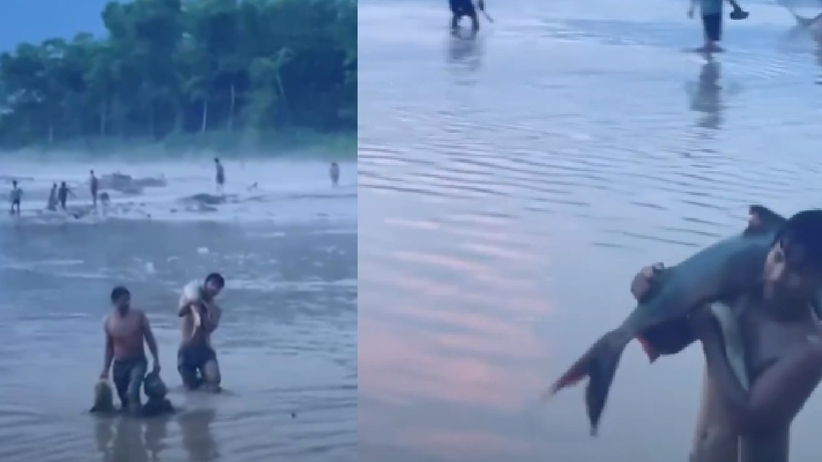 Nepal Floods Send Mystery Fish Into Bihar - Government Says Don’t Eat Them