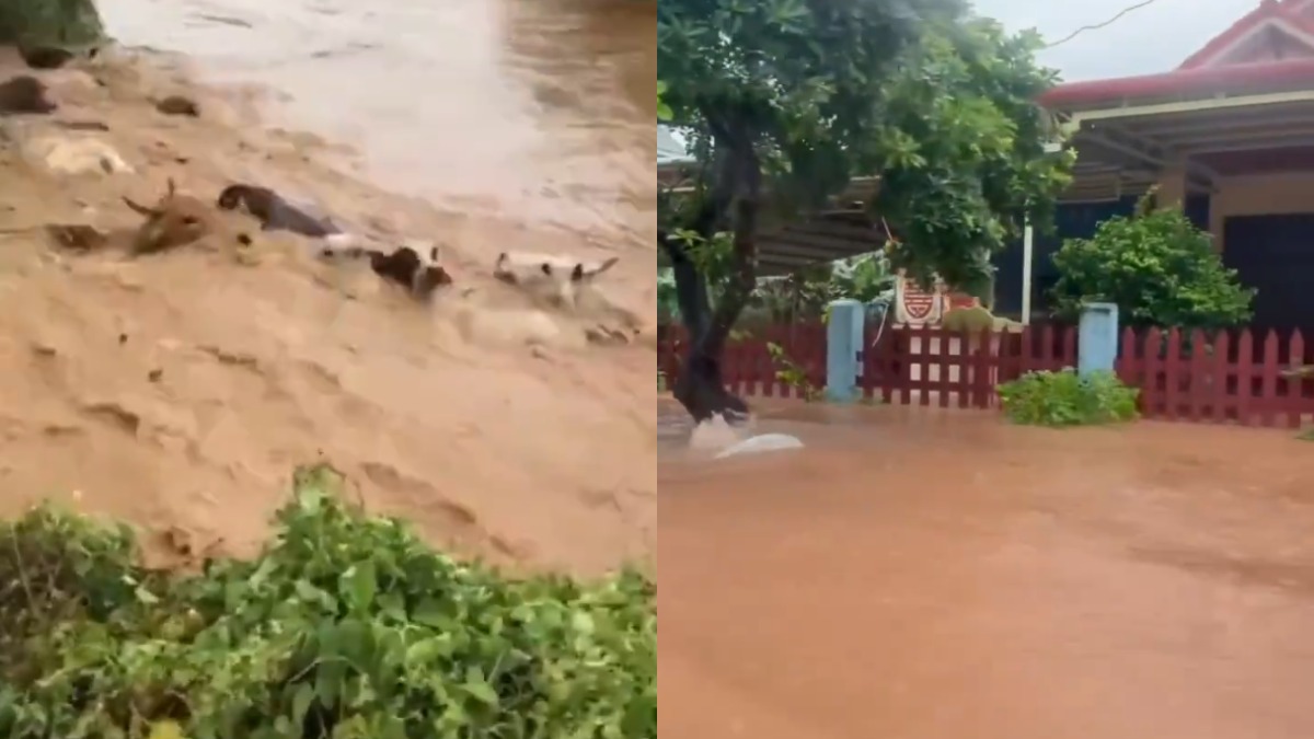 Northern Vietnam Floods: Over 2,000 Homes Submerged As Heavy Rain Disrupts Travel