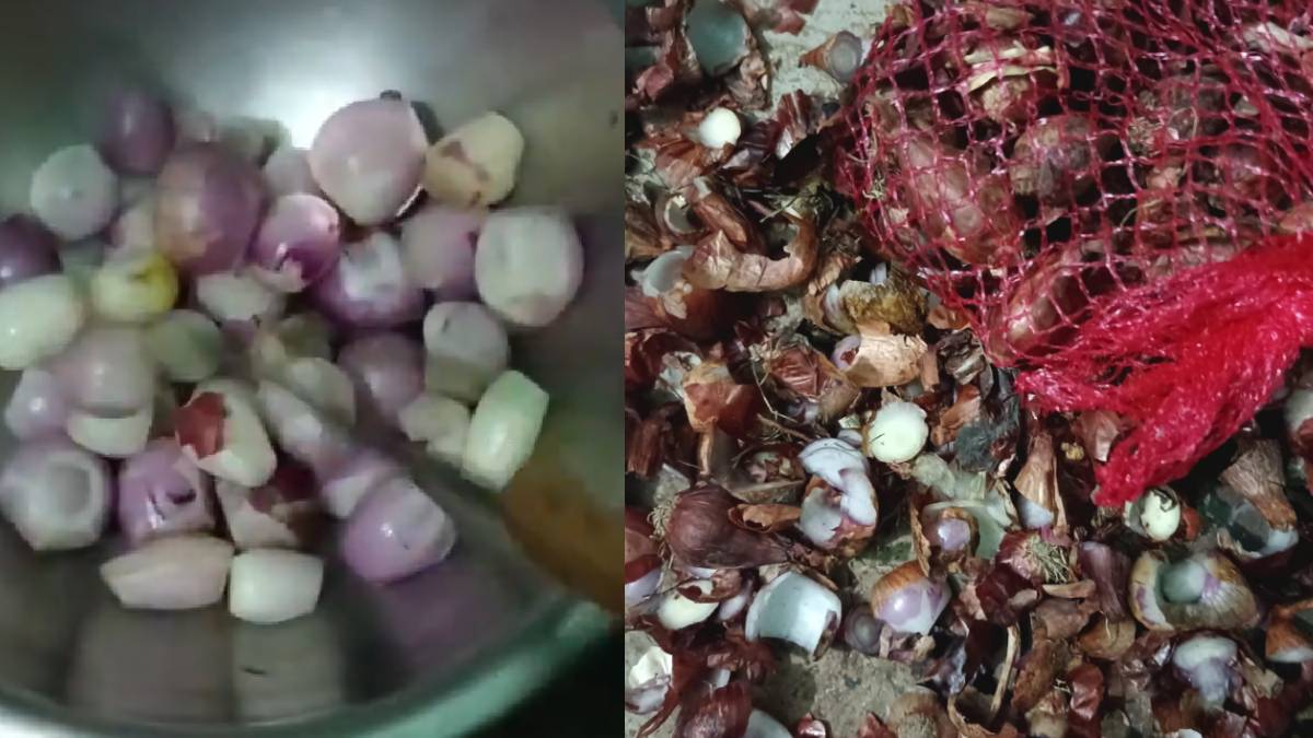 ಆನ್‌ಲೈನ್‌ನಲ್ಲಿ ಈರುಳ್ಳಿ ಆರ್ಡರ್ | Photo Credit: https://x.com/Neend_Ki_Rani