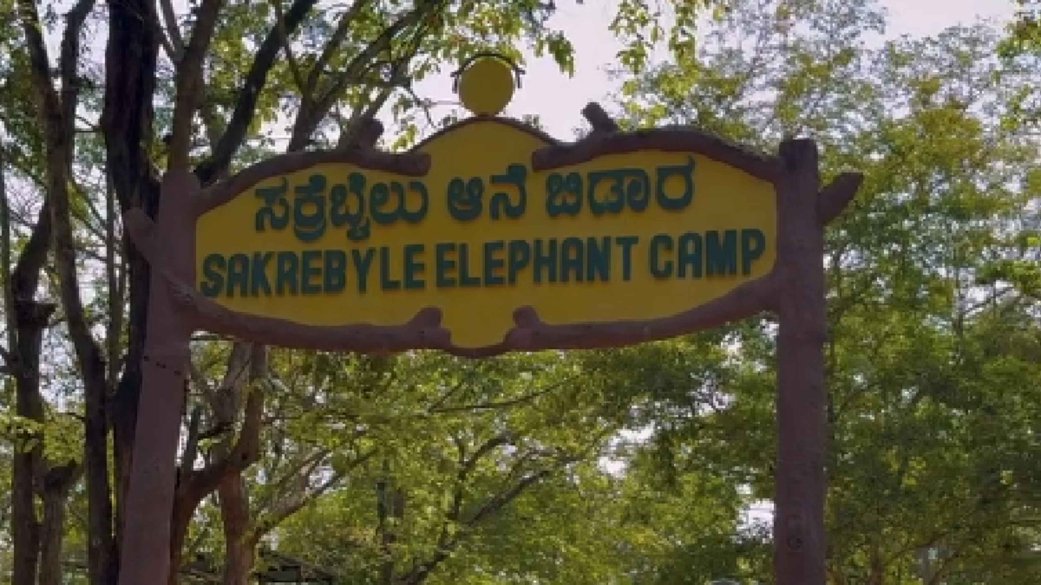 ಶಿವಮೊಗ್ಗದ ಸಕ್ರೆಬೈಲು ಆನೆ ಬಿಡಾರಕ್ಕೆ ಇನ್ಮುಂದೆ ಪ್ರತಿ ಬುಧವಾರ ರಜೆ - ಹೊಸ ನಿಯಮ ಜಾರಿ!!