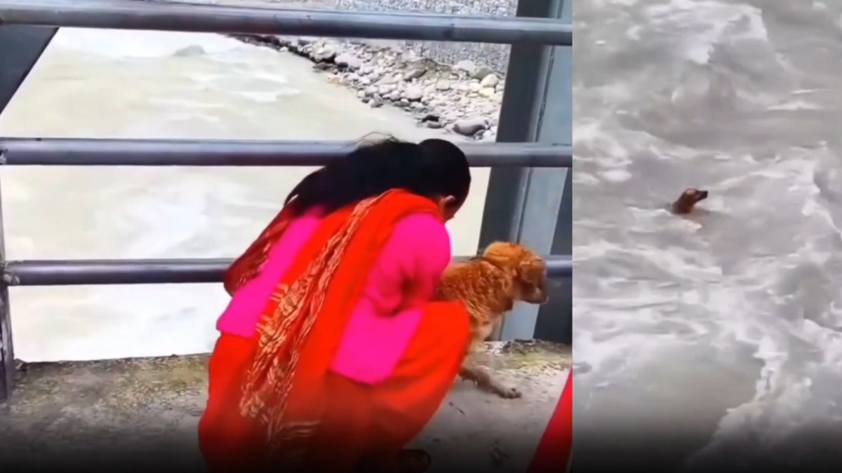 Nepal dog incident | Photo Credit: x.com/gharkekalesh