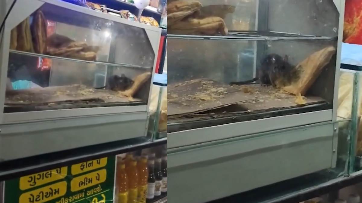 Rat Found Inside Surat Railway Food Stall, Authorities Seal Outlet