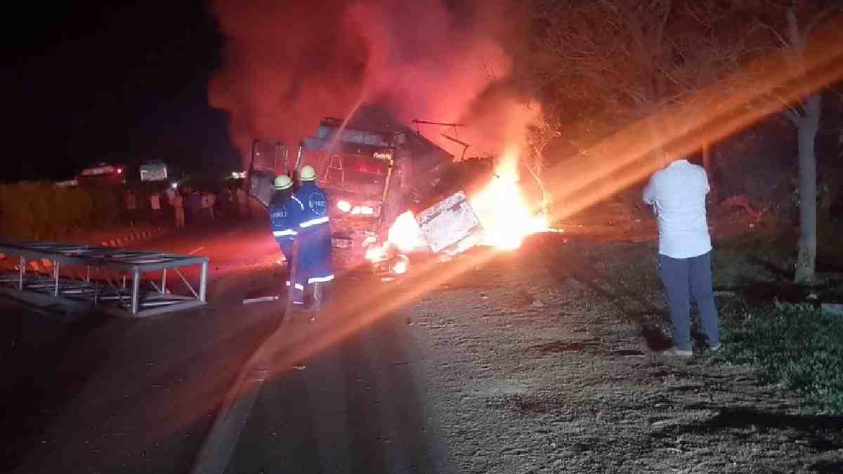 Mahabubnagar Horror: DCM Truck Bursts Into Flames, Driver and 150-200 Goats Killed