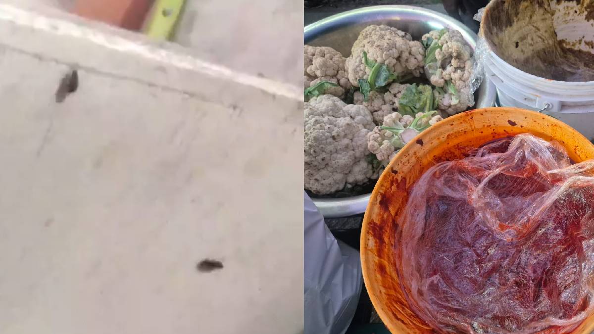 Telangana Food Safety Raids: 23 Establishments Found Violating Norms Over Spoiled Food, Pest Infestation