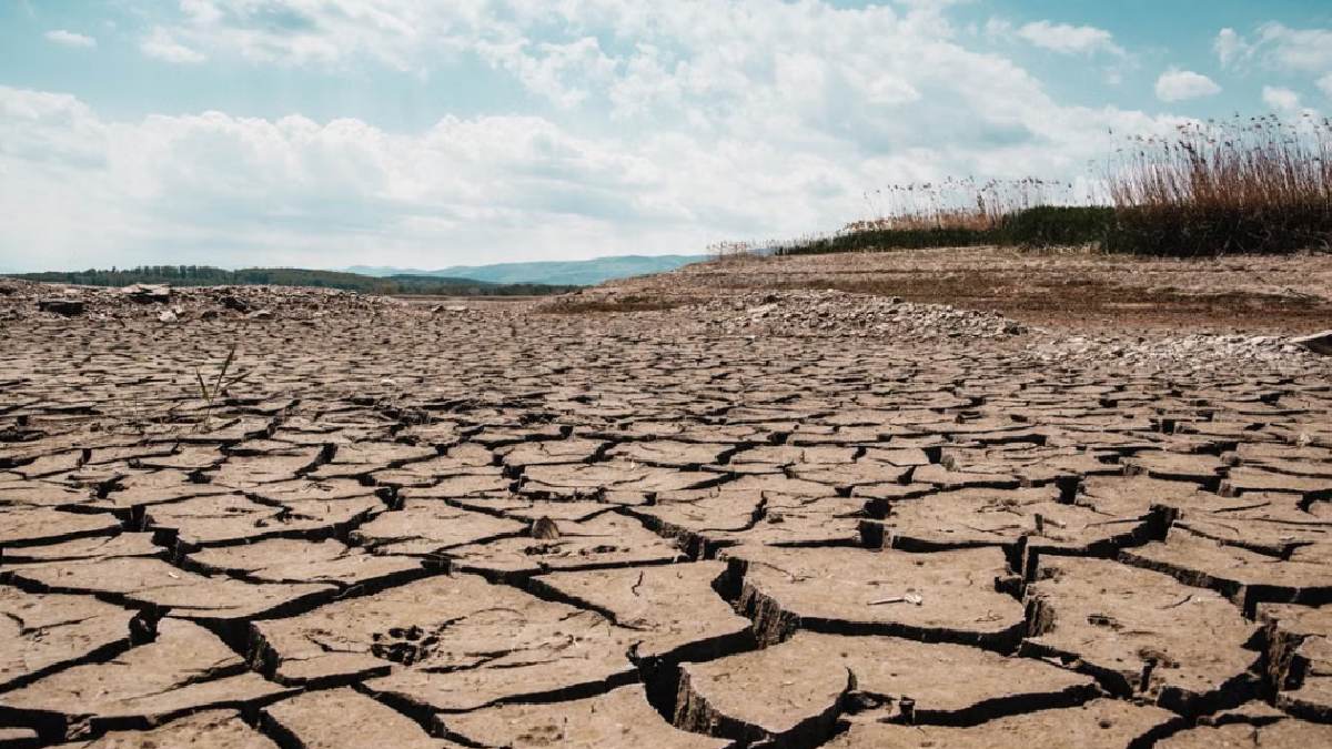 Tamil Nadu Among India’s Major Drought Hotspots: 52-Year Climate Study Flags Rising Weather Extremes