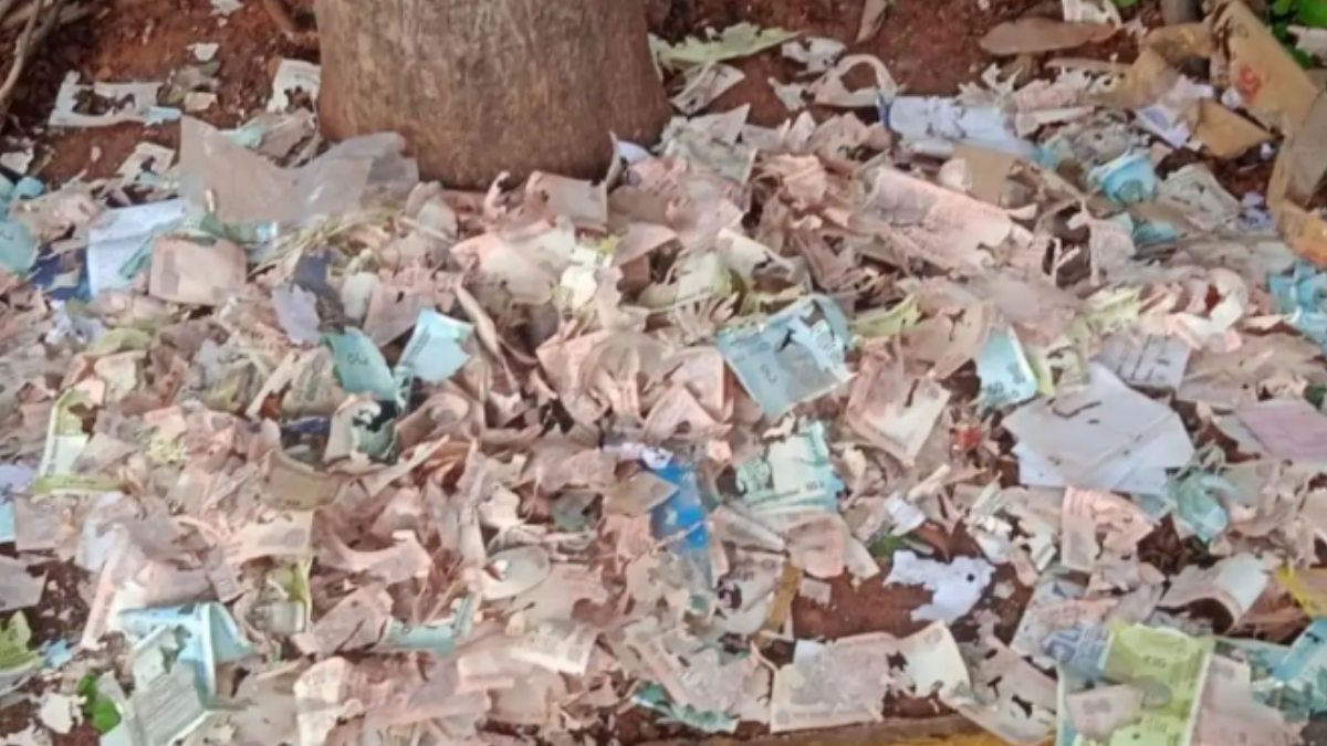 Visakhapatnam Mystery: Torn ₹500, ₹100, ₹50 and ₹10 Notes Found Outside Central Park