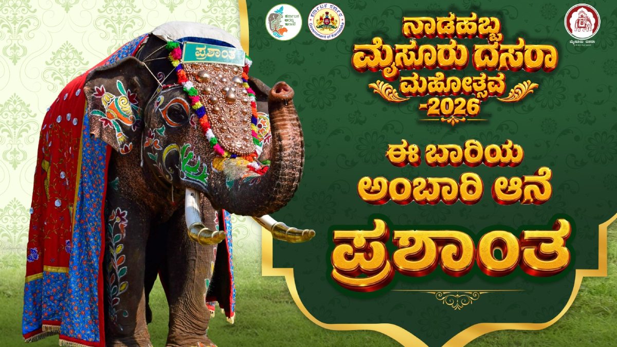 ಮೈಸೂರು ದಸರಾ ಅಂಬಾರಿ ಸಾರಥಿಯಾಗಿ 54 ವರ್ಷದ ಪ್ರಶಾಂತ ಆನೆ ಆಯ್ಕೆ!!