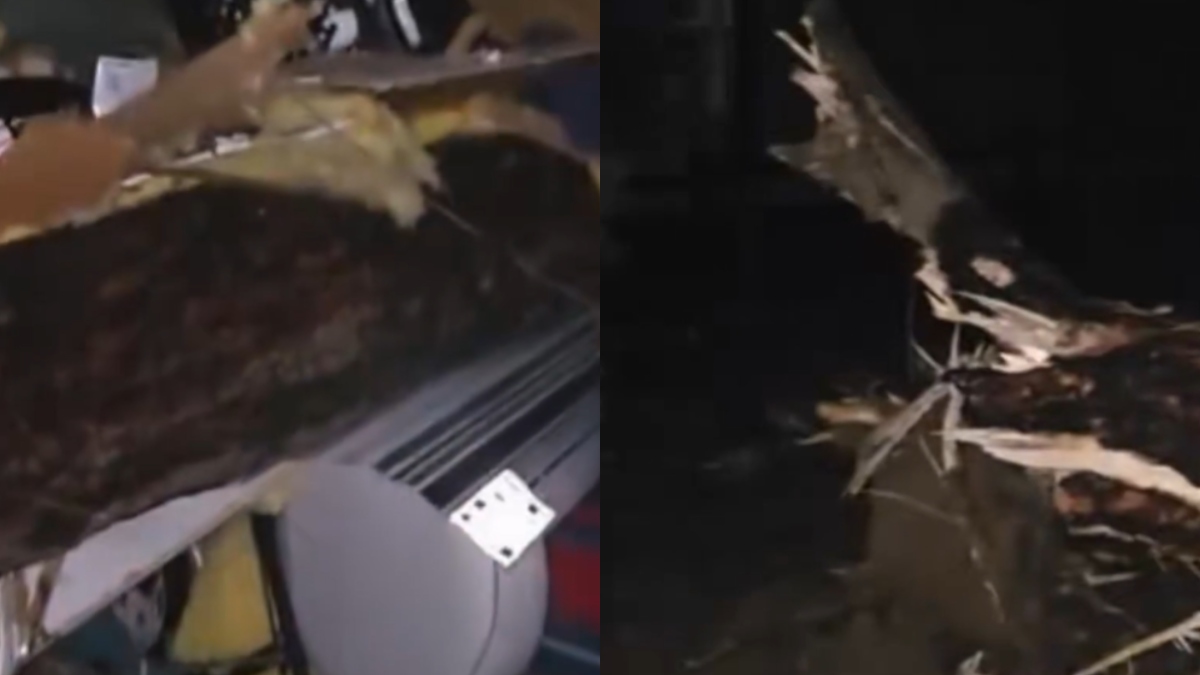 Arizona Tornado Scare: Homes Damaged, Power Poles Down Near Heber-Overgaard