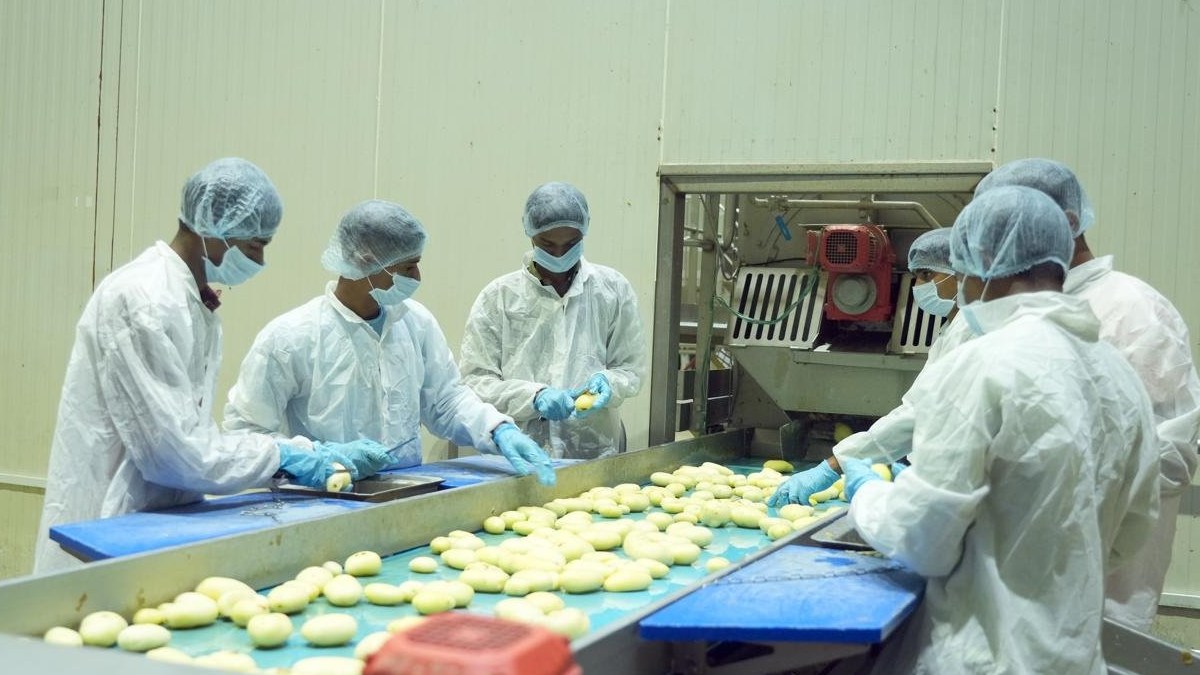 Banaskantha's potato processing plant