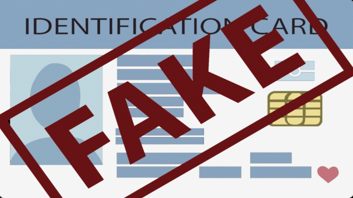 BSF Detains Over 25 Alleged Bangladeshi Nationals in West Bengal Border Raid, Fake IDs Seized