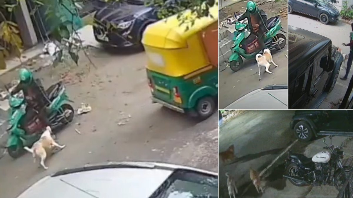 ಬೆಂಗಳೂರಿನ ಐಟಿಐ ಲೇಔಟ್‌ನಲ್ಲಿ ಬೀದಿನಾಯಿಗಳ ಅಟ್ಟಹಾಸ - ಪದೇಪದೇ ದೂರು ನೀಡಿದರೂ ಪರಿಹಾರವಿಲ್ಲವೇ?!!