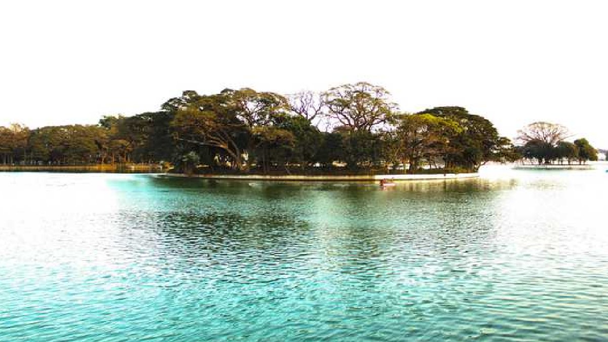 Bengaluru Faces Severe Water Crisis Threat as Monsoon Rainfall Drops 43%; Lakes Running Dry
