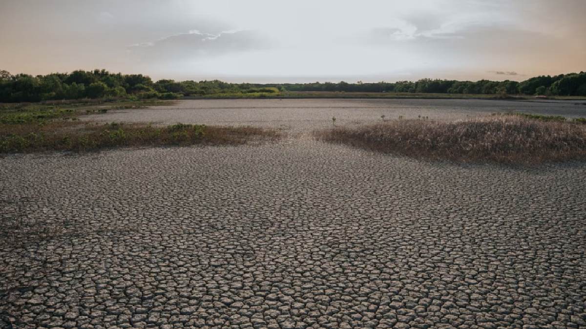 Experts discuss freshwater governance at IIM Calcutta conference | Photo Credit: https://www.pexels.com/