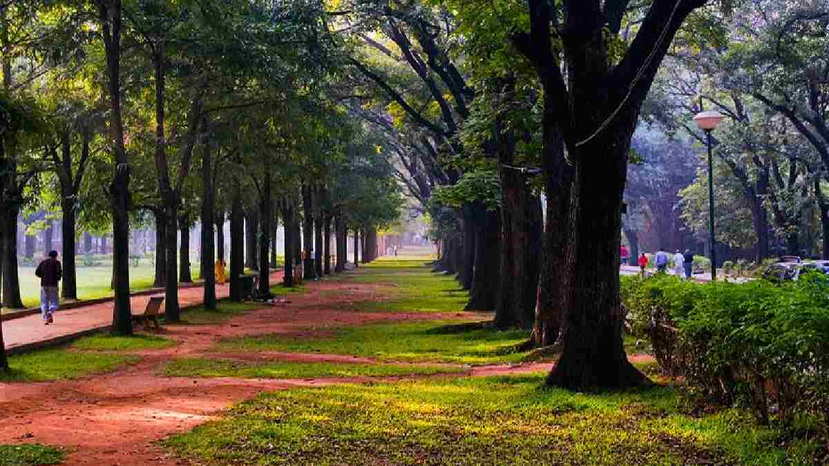 Karnataka Plans 15 New Green Spaces, 3,000 Hectares of Forest Land