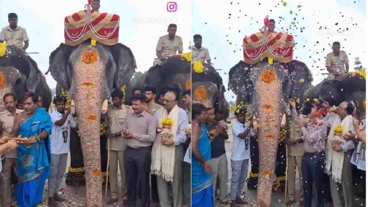Mysuru Dasara 2026: Grand Traditional Welcome for Veteran Elephant Abhimanyu