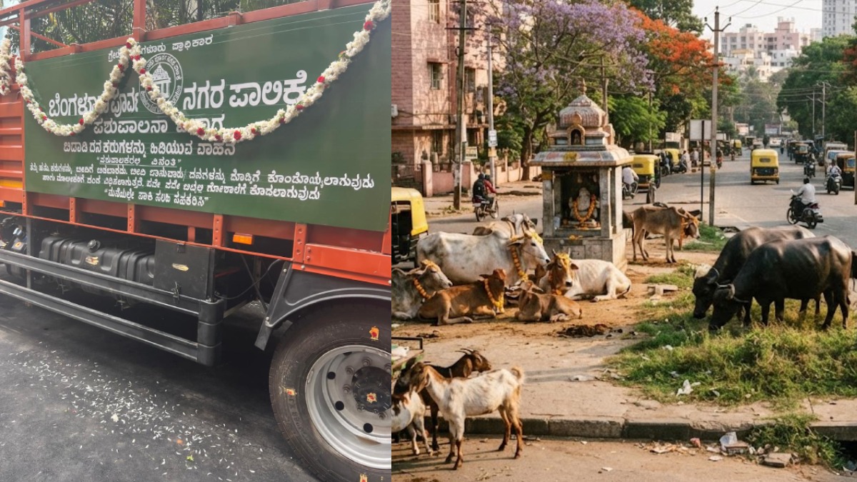 ಬೆಂಗಳೂರು ಜಾನುವಾರು ನಿಯಂತ್ರಣ