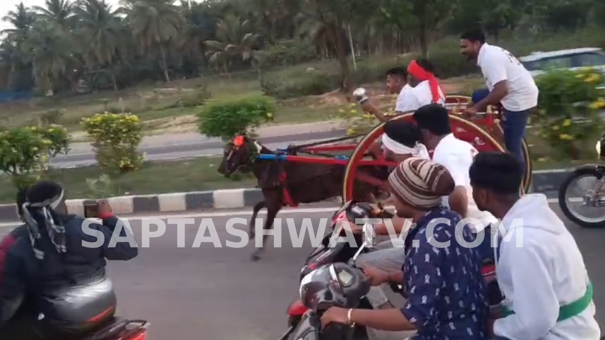 ಬೆಂಗಳೂರು–ಮಂಗಳೂರು ಹೆದ್ದಾರಿ ರೇಸ್‌ ಟ್ರ್ಯಾಕ್ ಆಯ್ತಾ? ಮಂಡ್ಯದಲ್ಲಿ ಕುದುರೆಗಾಡಿಗಳ ಹುಚ್ಚಾಟ!!