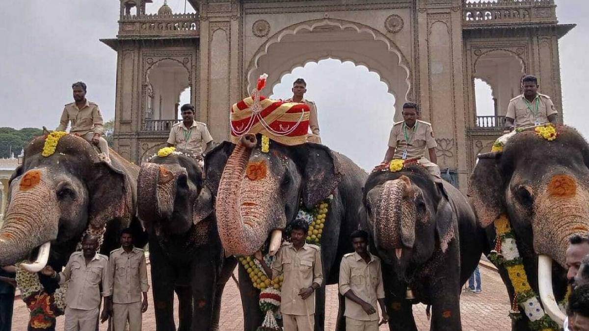ಅಭಿಮನ್ಯುವಿಗೆ 160 ಇಂಚಿನ ಪೇಟ, ಮೋಸಂಬಿ ಹಾರ; ಮೈಸೂರು ದಸರಾ ಸಿದ್ಧತೆ ಹೇಗಿದೆ?