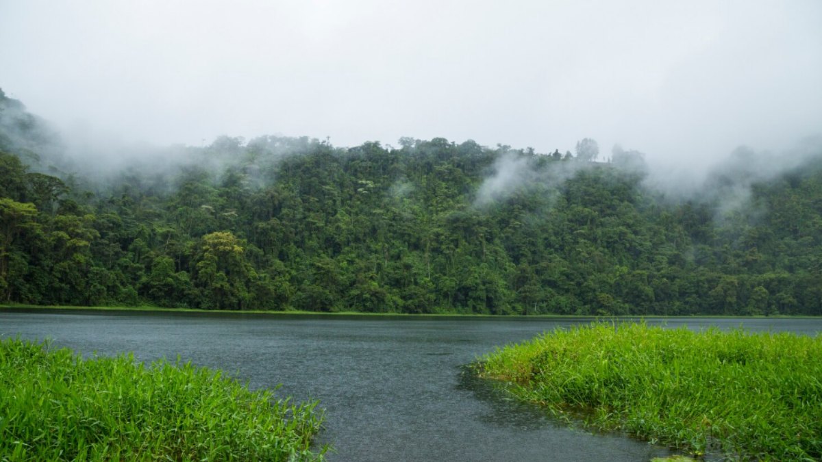 Northeast Monsoon 2026: South Kerala Likely To Get More Rain | Photo Credit: https://www.magnific.com/