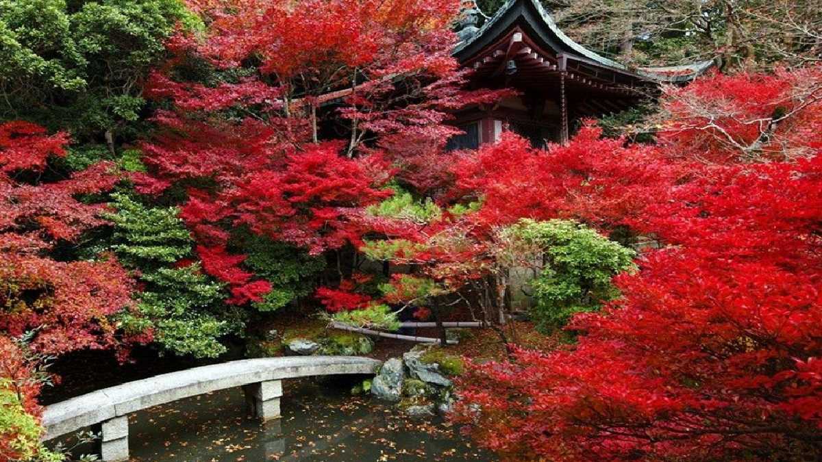 Autumn foliage in scenic international destinations during November.