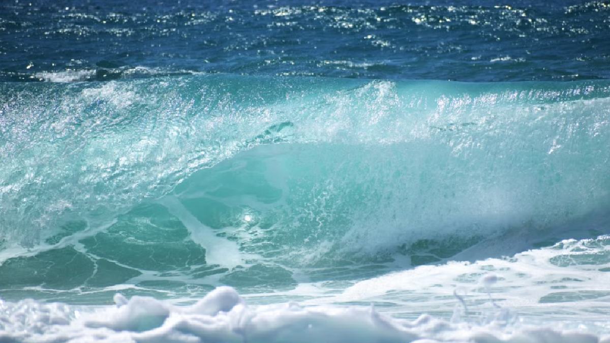 The Oceans Are Getting Hotter: 2025 Heat Record Raises Global Climate Alarm