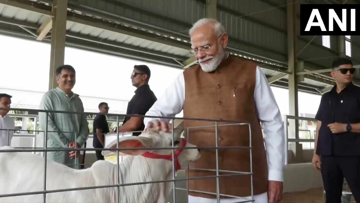 ಗುಜರಾತ್‌ನ BBBRC ಗೋಶಾಲೆಗೆ ಪ್ರಧಾನಿ ಮೋದಿ ಭೇಟಿ; ಜೊತೆಯಲ್ಲಿ ಸಿಎಂ, ಡಿಸಿಎಂ!!