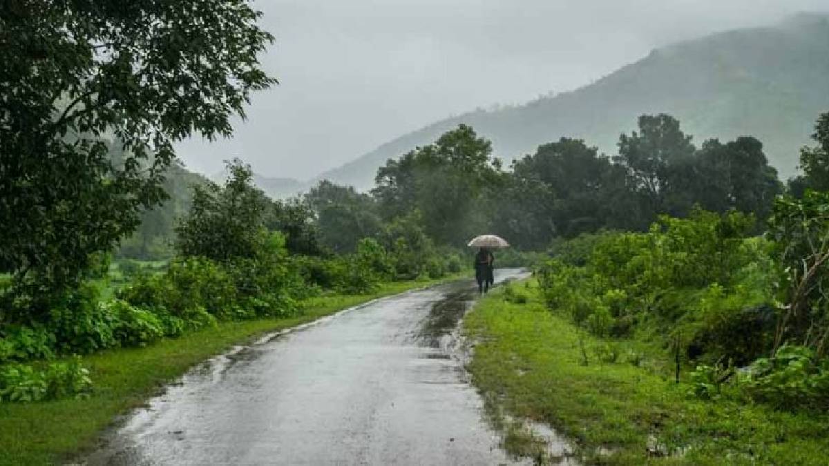 Maharashtra Rain (Representative Image)