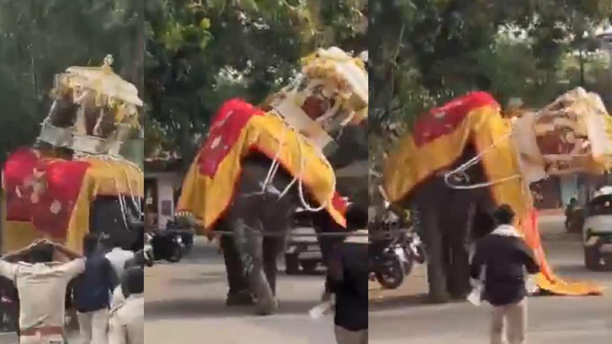 ಶಿವಮೊಗ್ಗ ದಸರಾ ಜಂಬೂಸವಾರಿ ವೇಳೆ ಅವಘಡ: ಬೆಳ್ಳಿ ಅಂಬಾರಿ ಹೊತ್ತ ಸೋಮಣ್ಣ ಆನೆ ದಿಕ್ಕಾಪಾಲಾಗಿ ಓಟ!!