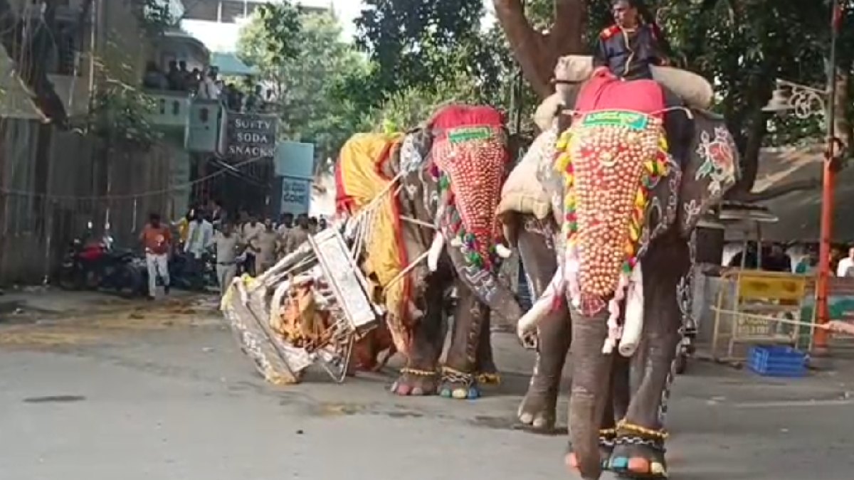 Shivamogga Dasara Horror
