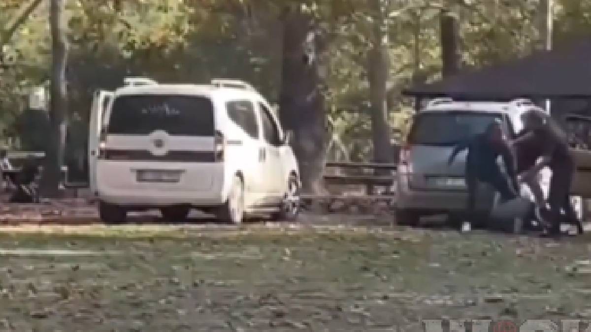 The Suspect being captured by onlookers