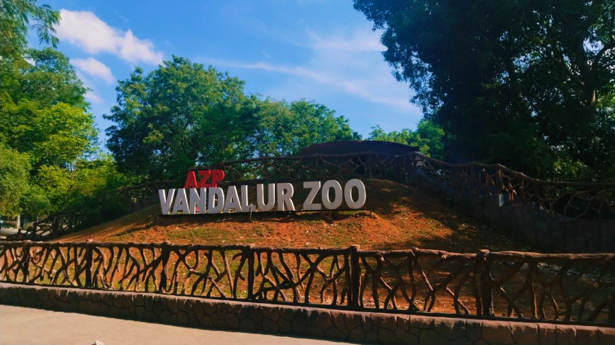 ಚೆನ್ನೈ ವಂಡಲೂರು ಮೃಗಾಲಯ ಬಂದ್‌ - ಹಕ್ಕಿಜ್ವರದಿಂದ ಏಳು ಜಲಚರ ಪಕ್ಷಿಗಳ ಸಾ*ವು!!